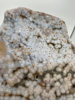 8th Vein Ocean Jasper Slab #41