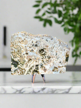 8th Vein Ocean Jasper Slab #131