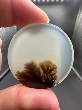 Designer Dendritic Agate Cabochon #7