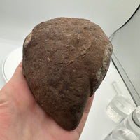 Polished Front Agate Geode #2