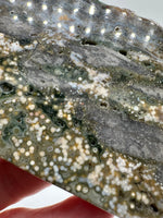 8th Vein Ocean Jasper Slab #14