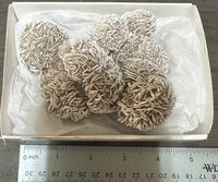 Selenite "Desert Rose," Samalayuka Desert, Chihuahua, Mexico #1