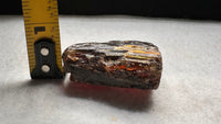Madagascar Raw Amber Specimen #6