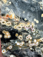 8th Vein Ocean Jasper Slab #33