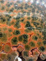 8th Vein Ocean Jasper Slab #1