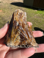 Natural Amber Calcite Raw Specimen UV Reactive #18