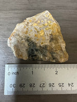 8th Vein Ocean Jasper Slab #69