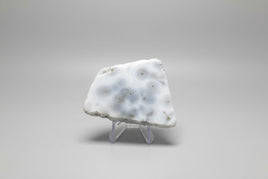 6th Vein Ocean Jasper Polished Freeform #17