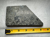 Free Form Pyrite Flowers Symbiosis Mixed Agate Slab #2
