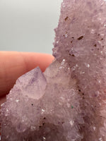 Amethyst Spirit Cactus Cluster, South Africa #3
