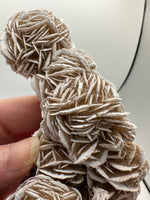 Selenite "Desert Rose," Samalayuka Desert, Chihuahua, Mexico #3