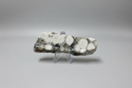 6th Vein Ocean Jasper Polished Freeform #19