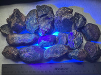 Madagascar Raw Amber One Pound Bag #1