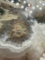 8th Vein Ocean Jasper Slab #62