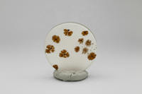 Scenic Dendritic Agate Cabochon #8