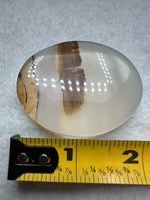 Designer Dendritic Agate Cabochon #4