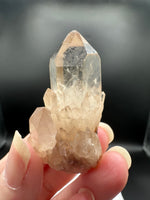 Kundalini Natural Citrine Crystal, D R Congo, Lightbrary #10 with Rainbow