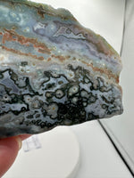 8th Vein Ocean Jasper Slab #51