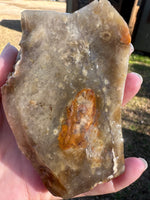 Savannah River Agate Specimen 1f