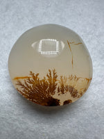 Designer Dendritic Agate Cabochon #2