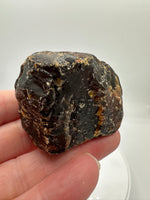 Madagascar Raw Amber Specimen #10