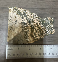 8th Vein Ocean Jasper Slab #101