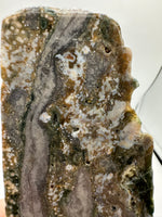 8th Vein Ocean Jasper Slab #31