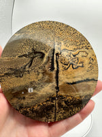 Natural Picture Jasper Slab with Stand #11