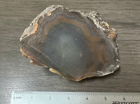 Natural Rough Agate Specimen #9
