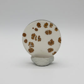 Scenic Dendritic Agate Cabochon #11