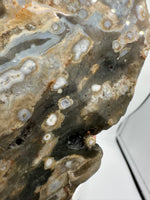 8th Vein Ocean Jasper Slab #29