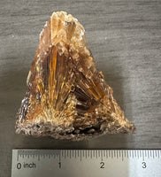 Natural Amber Calcite Raw Specimen UV Reactive #18