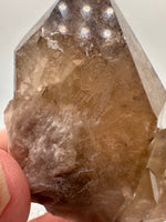 Kundalini Natural Citrine Crystal, D R Congo, Lightbrary #9