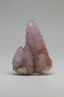 Amethyst Spirit Cactus Cluster, South Africa #3