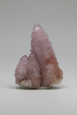 Amethyst Spirit Cactus Cluster, South Africa #3
