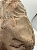 Petrified Wood Specimen #1