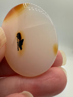 Designer Dendritic Agate Cabochon #10