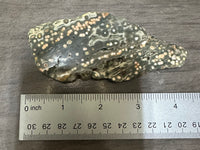 8th Vein Ocean Jasper Slab #35