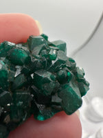 Green Dioptase from Reneville, DR Congo Specimen #1