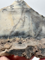 Dendritic Opal Slab