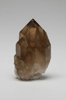 Natural Citrine Cathedral Crystal, Congo, Lightbrary #6