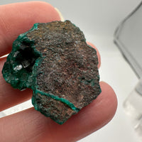 Green Dioptase from Reneville, DR Congo Specimen #2