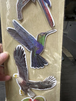 Four Count Large Puffy Parrot Stickers