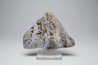 8th Vein Ocean Jasper Slab #82