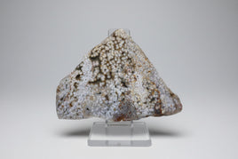 8th Vein Ocean Jasper Slab #82