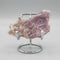 Fluorite, La Fluorita Dulcita, Tombstone, AZ