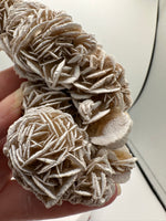 Selenite "Desert Rose," Samalayuka Desert, Chihuahua, Mexico #3