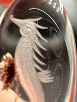 Beautiful Seahorse Garden Quartz Inner Scene Carving #11