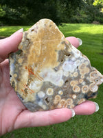 8th Vein Ocean Jasper Slab #58