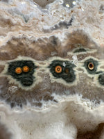 8th Vein Ocean Jasper Slab #62